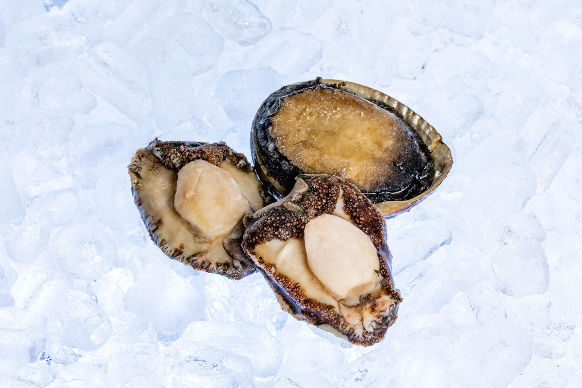 Tasmania Wild-caught Blacklip abalone meat 120g to 150g 1kg