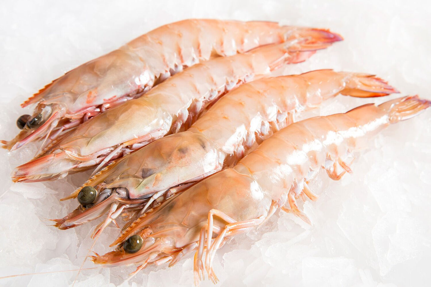 South Australia Raw King Prawn U/6 XXL (5kg box)