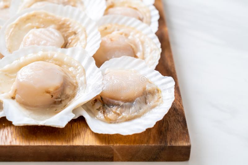 Japan Half Shell roe-off Scallop XL 1Doz – Yokohama Seafood Trading