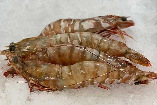 Queensland Raw Tiger Prawn U/8 (5kg box)