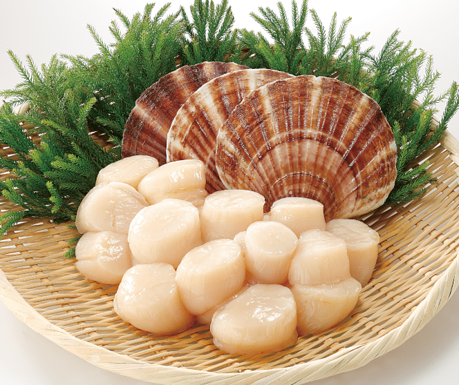 Japan Roe-Off 11/15 Scallop 1kg