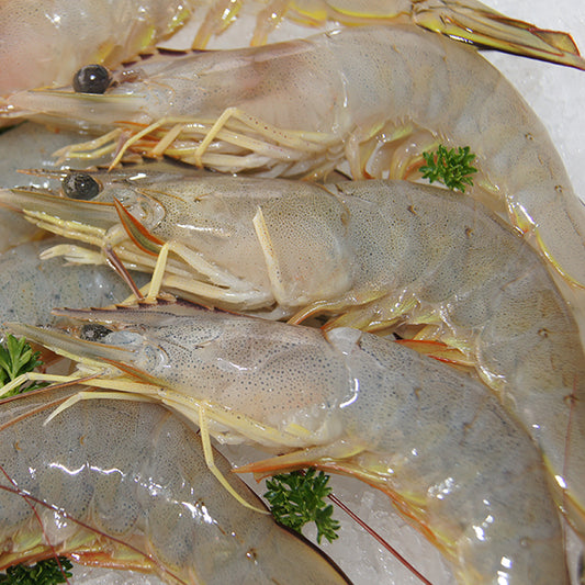 Western Australia Raw Banana Prawn 10/15 (3kg box)