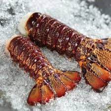 South Australia Lobster Tail 300/400gm XXL (5kg box)