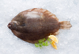 New Zealand Lemon Sole 700/800gm (10kg box)