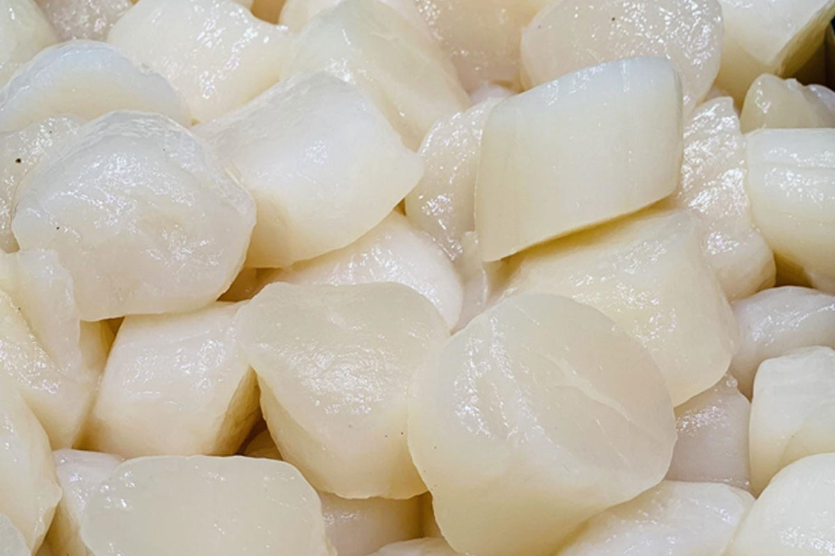 Scallops Roe Off China Roe-Off 20/30 Scallop 1kg – Yokohama Seafood Trading