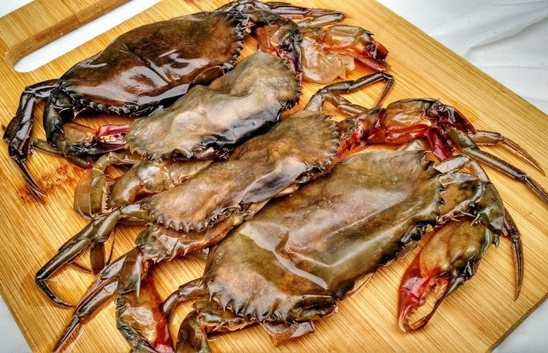 Soft Shell Crab 100/120 1kg